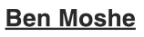 benmoshe logo